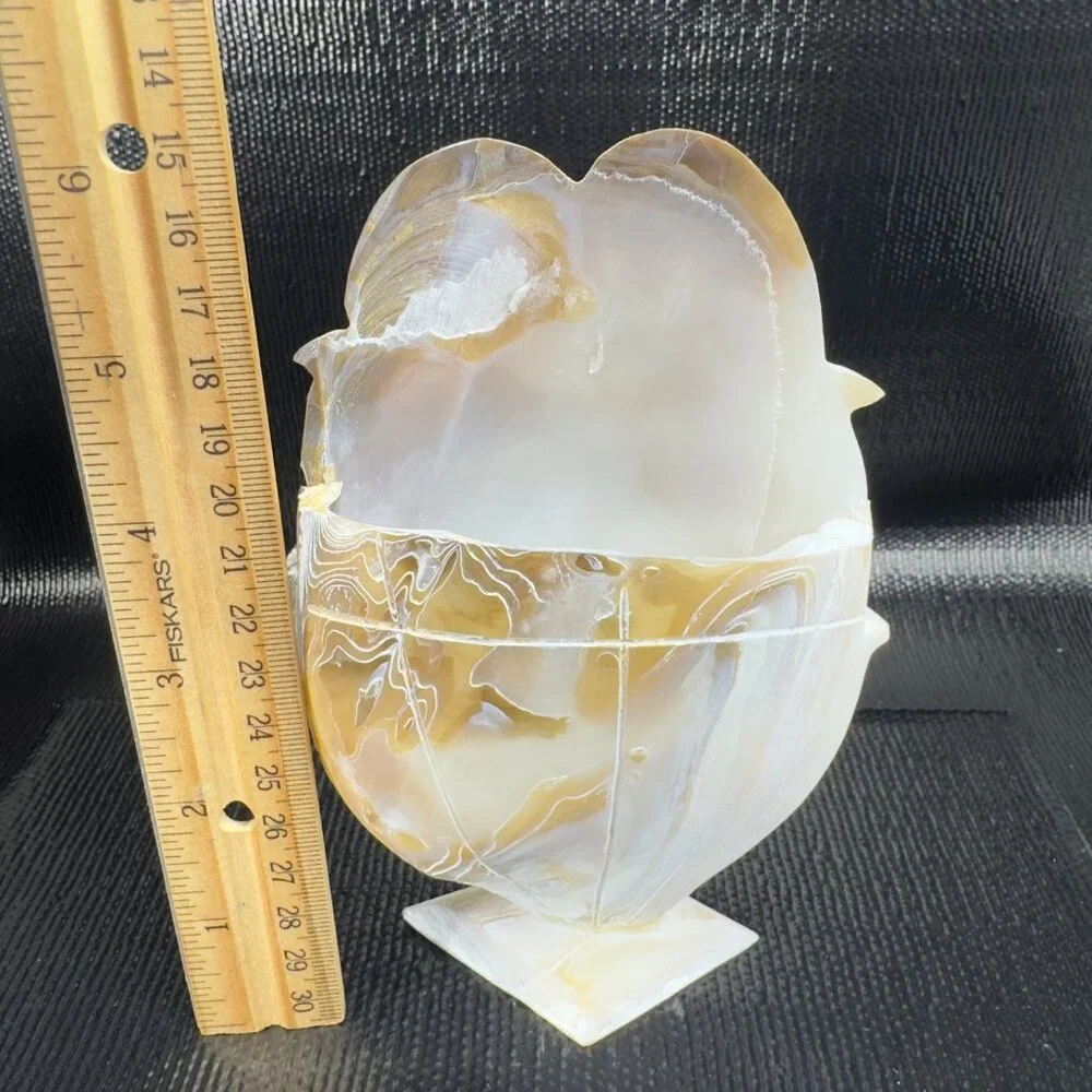 Vintage Mother of Pearl Nautalis Shell Footed Vase‎ Shiny Finish Hand Made Vase